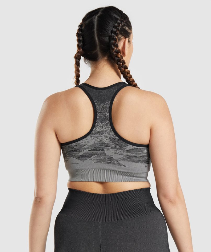 Women's Gymshark Adapt Ombre Seamless Sports Bra Black | NZ 8LICDY